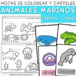 Portada de Animales Marinos Hojas para Colorear y Carteles