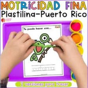 Portada de Puerto Rico Motricidad Fina con Plastilina