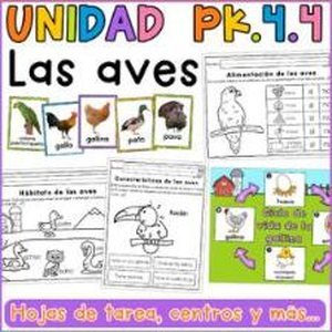 Portada de Unidad 4 Prekínder · Semana 4 Las aves