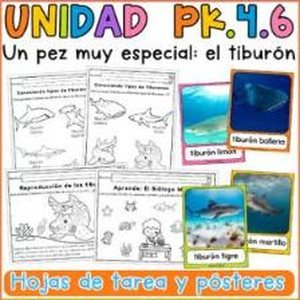 Portada de Unidad 4 Prekínder · Semana 6 Un pez muy especial: el tiburón