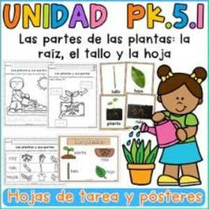 Portada de Unidad 5 Pk · Semana 1 Las partes de las plantas: la raíz, el tallo y la hoja